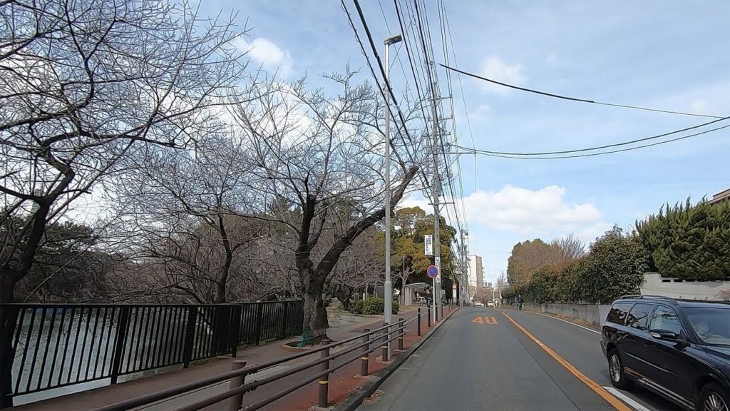 【ドライブ】八事(やごと)交差点から鶴舞公園付近までのドライブ【名古屋】 Drive From Yagoto to Tsuruma Park , Nagoya Japan.