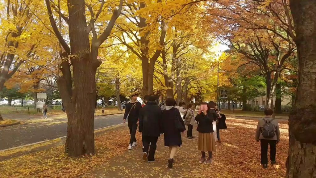 Hokkaido University, Sapporo, Japan | Traveler Ni Hokkaido University, Sapporo, Japan | Traveler Ni