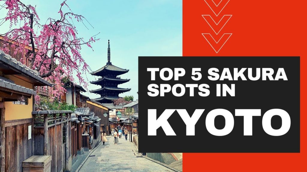 Top 5 Sakura Spots in Kyoto [March 2020]