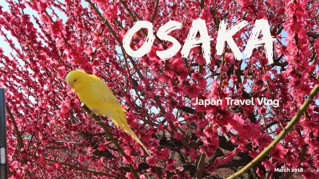 Osaka Japan Travel Vlog | Kobe Beef Dinner