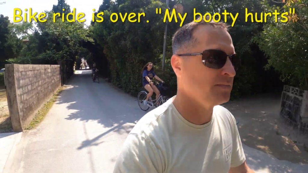 The Bise Fukugi Namiki trip The Bise Fukugi Namiki trip