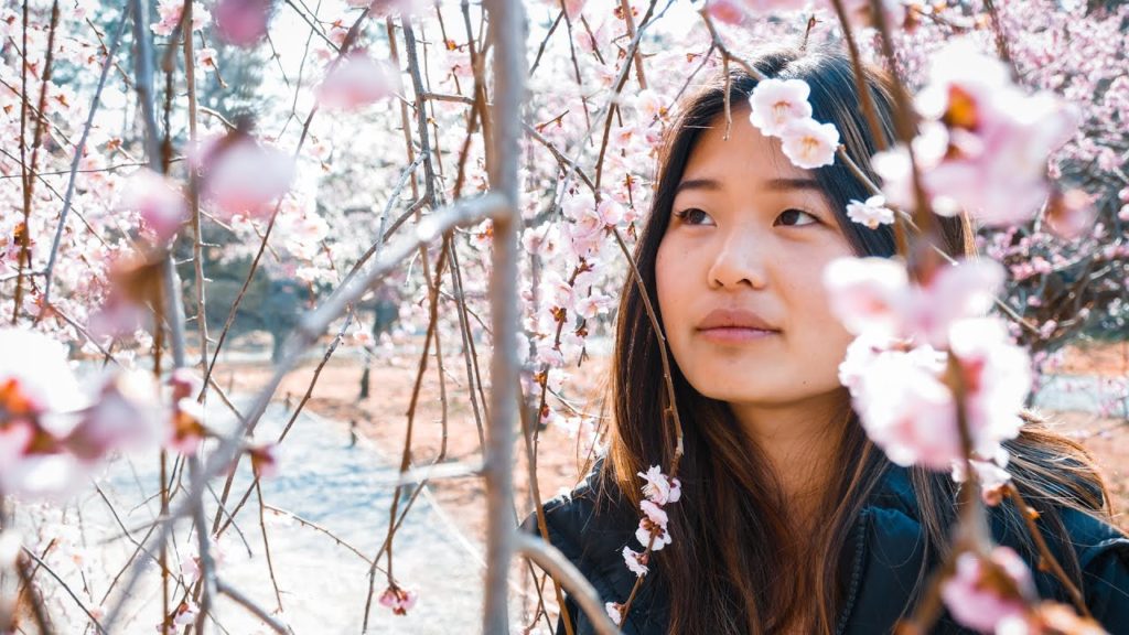 Sights & Sounds: Tokyo Japan Travel Video