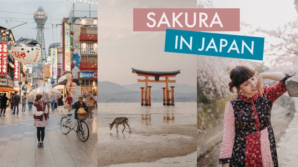 Sakura in Japan (cherry blossoms) | 15 days travel around Japan (feat. Your Name homage) Sakura in Japan (cherry blossoms) | 15 days travel around Japan (feat. Your Name homage)