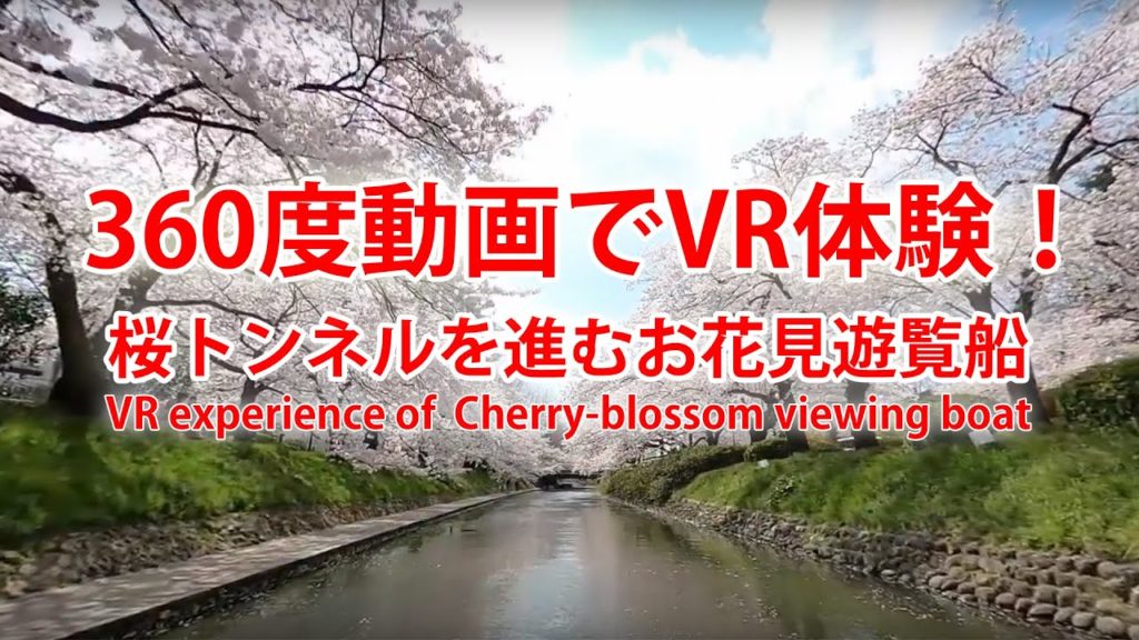 360度動画でVR体験！桜トンネルの間を進むお花見遊覧船！桜の名所 松川遊覧船 VR experience of  Cherry-blossom viewing boat from Japan
