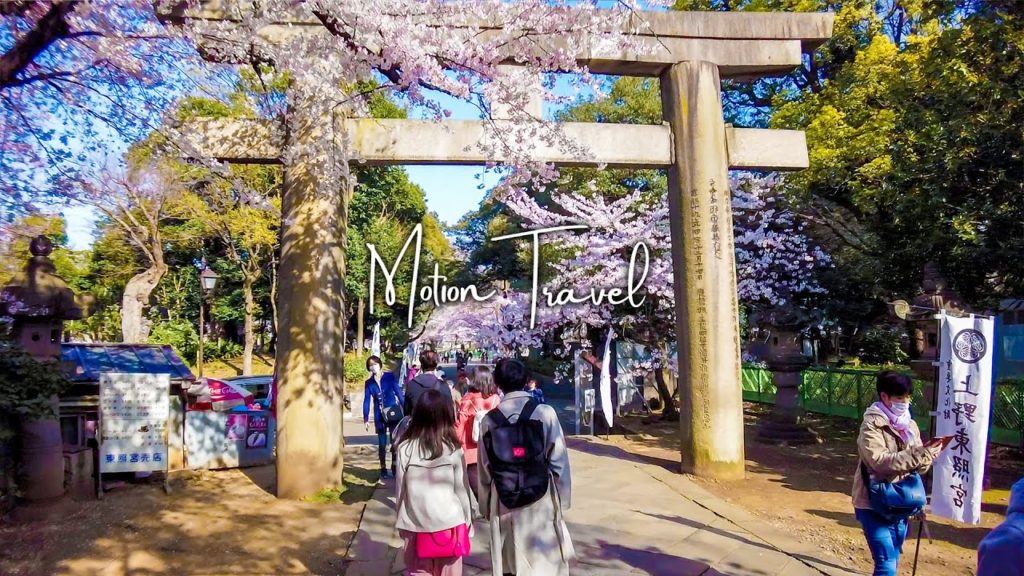 🇯🇵🌸Walking Tokyo | Ueno Park and Ueno Toshogu Shrine