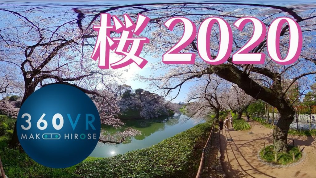 8K 360VR : 東京の桜 2020《総集編》 お花見VR --Cherry Blossoms in Tokyo--【QooCam 8K】