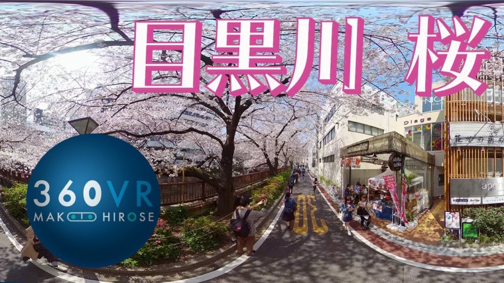 8K 360VR : 目黒川の桜 2020 お花見VR –Cherry Blossoms–【QooCam 8K】 8K 360VR : 目黒川の桜 2020 お花見VR --Cherry Blossoms--【QooCam 8K】