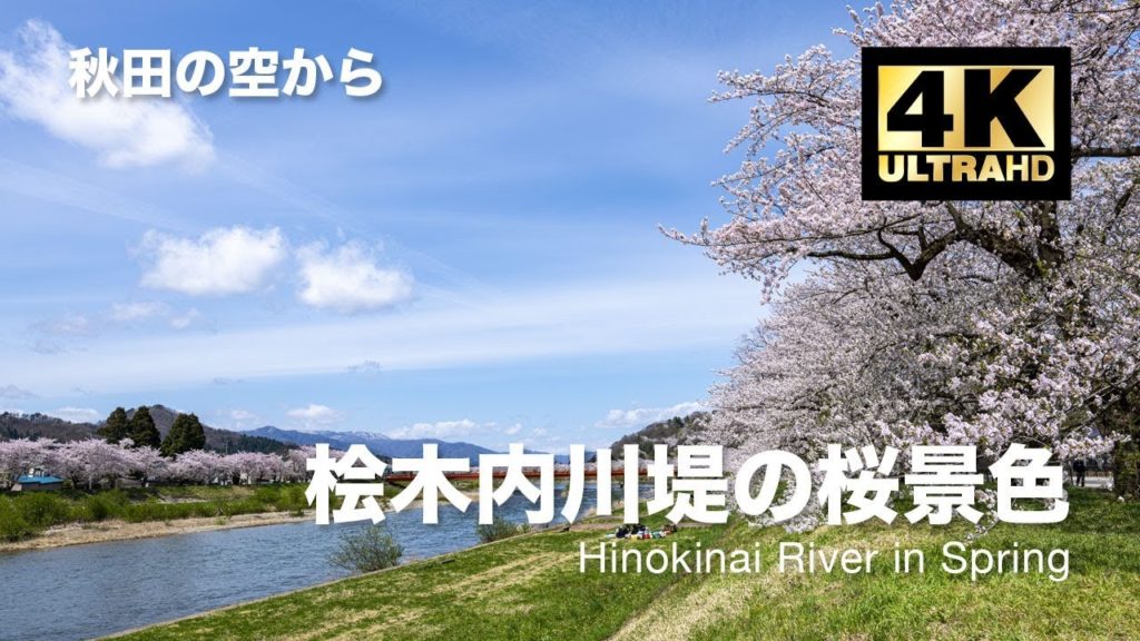 [ドローン空撮] 桧木内川堤の桜景色 〜川沿を彩る春〜 DJI Mavic2 Pro [秋田の空から 4K 60fps Rev.02]
