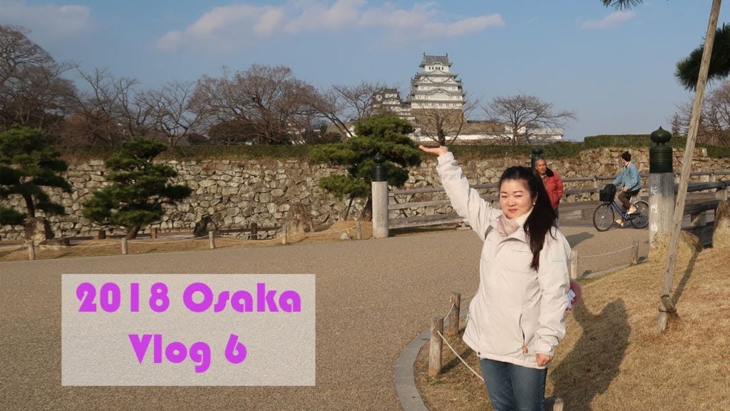 Osaka 2018 Vlog 6