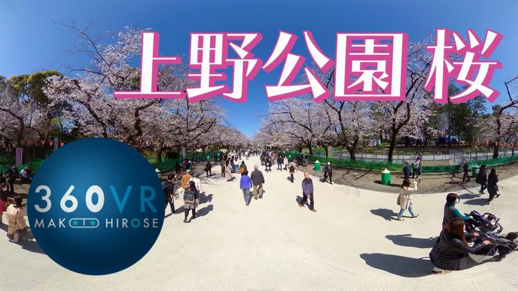 8K 360VR : 上野公園の桜 2020 お花見VR --Cherry Blossoms--【QooCam 8K】