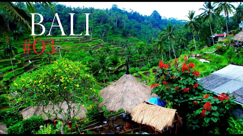 NATURAL BEAUTY IN INDONESIA 🌅 Bali Rice Terraces✔Worldtravel Vlog#67 Ubud – Our adventure WELTREISE NATURAL BEAUTY IN INDONESIA 🌅 Bali Rice Terraces✔Worldtravel Vlog#67 Ubud - Our adventure WELTREISE