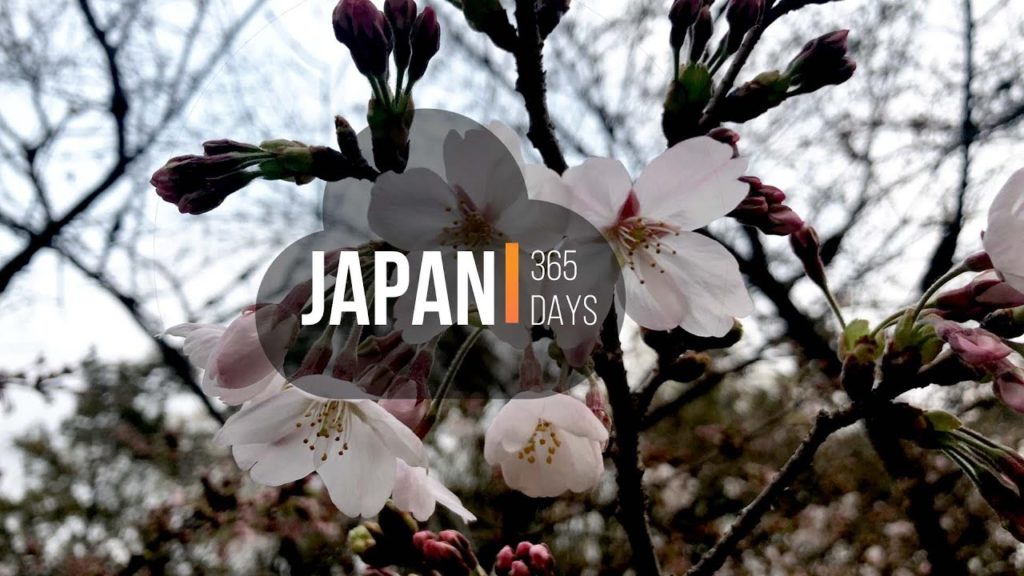 Japan 365 days in 7 minutes ( Japan Travel Vlog #2 )
