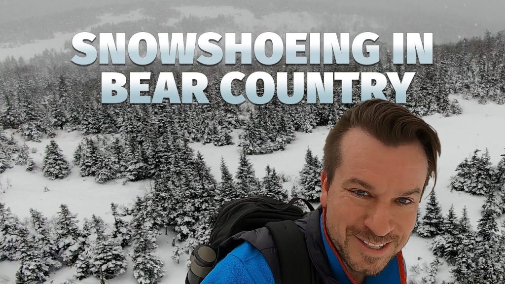 Snowshoeing in Bear Country ｜Mt. Nyuto in Akita