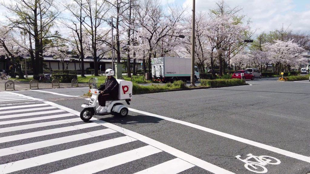 Walk along the Takase River in Kyoto where cherry blossoms are in full bloom.