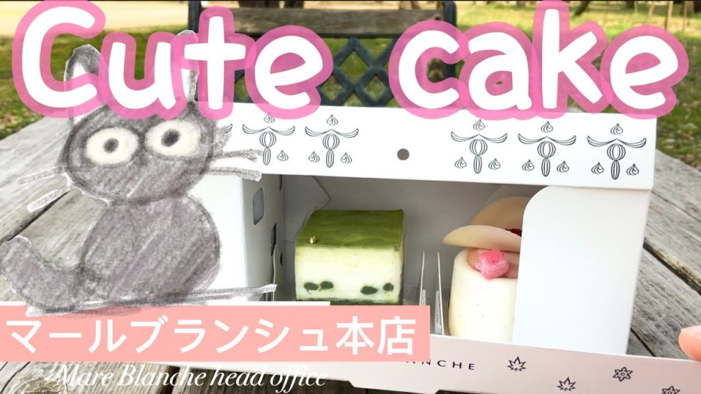 [Recommended Kyoto Travel guide】cake -food in Kyoto japan/Lunch gourmet