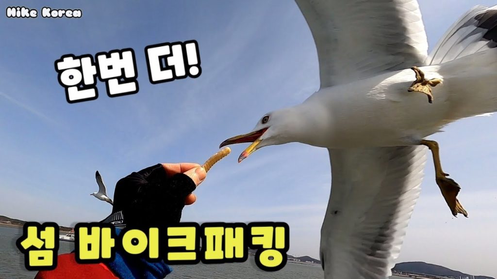 신시모도 바이크패킹ㅣBikepacking  Sindo-Sido-Modo Islands with english subtitles, Incheon, Republic of Korea