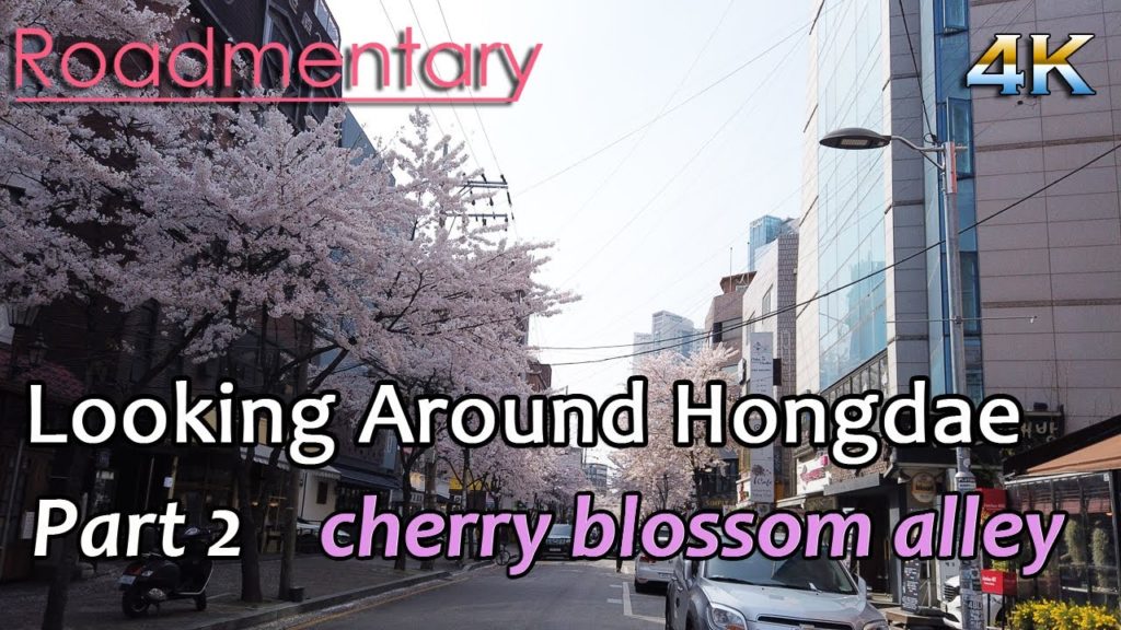 Seoul travel [looking around Hongdae - part 2] cherry blossom  4K Korea (Hongdae) Spring
