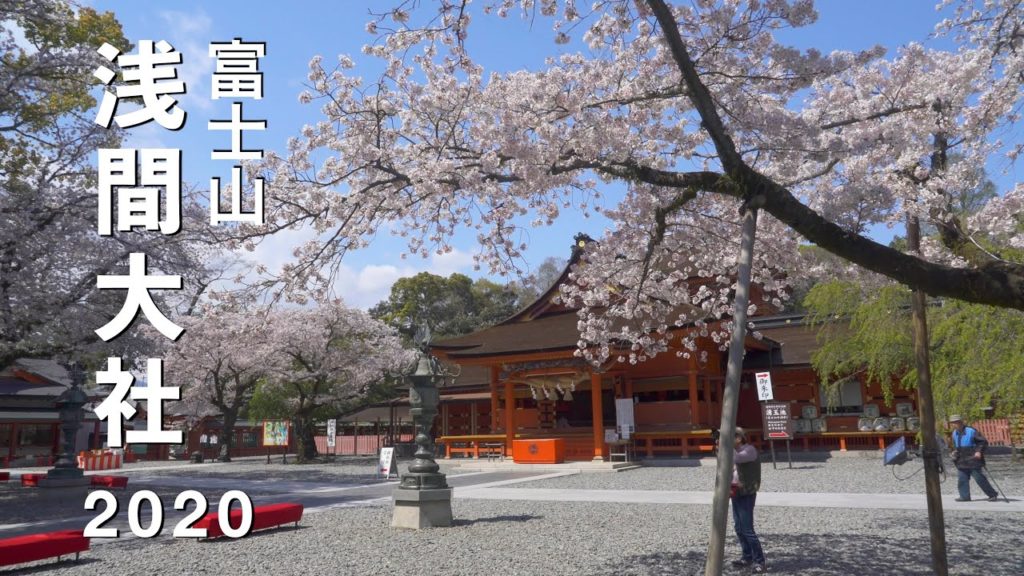 2020 富士山本宮浅間大社の桜(4K) Cherry Blossoms At Fujisanhongu Sengentaisha Shrine(UHD)