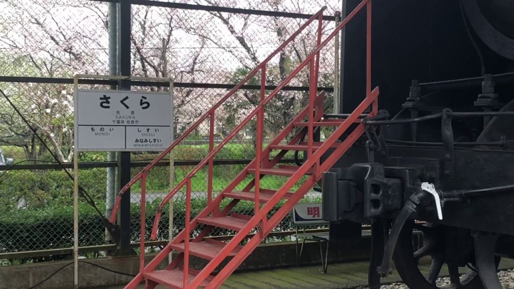 【千葉 佐倉のSL】ハチロク 8620式の蒸気機関車 桜舞う2020年春 Japan Trip Chiba Sakura Train SL locomotive Cherry Blossom 【千葉 佐倉のSL】ハチロク 8620式の蒸気機関車 桜舞う2020年春 Japan Trip Chiba Sakura Train SL locomotive Cherry Blossom