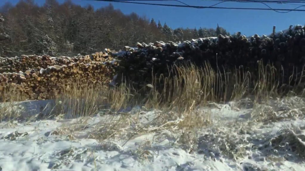 Japan winter bus (Nagano to Togakushi ) 2017 Japan winter bus (Nagano to Togakushi ) 2017