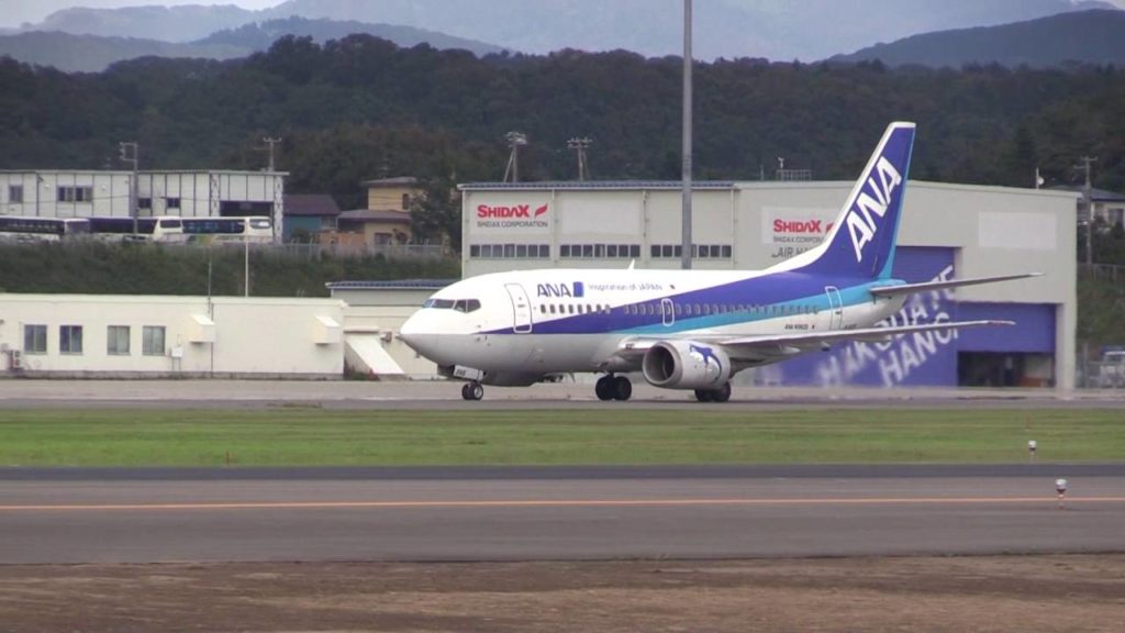 ドルフィンジェット ALL Nippone Air JA8195 B737 Hakodate Airport