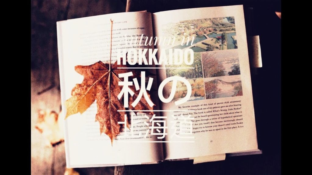 Autumn in Hokkaido  秋の北海道 2018 / Hokkaido Japan Travel Tips