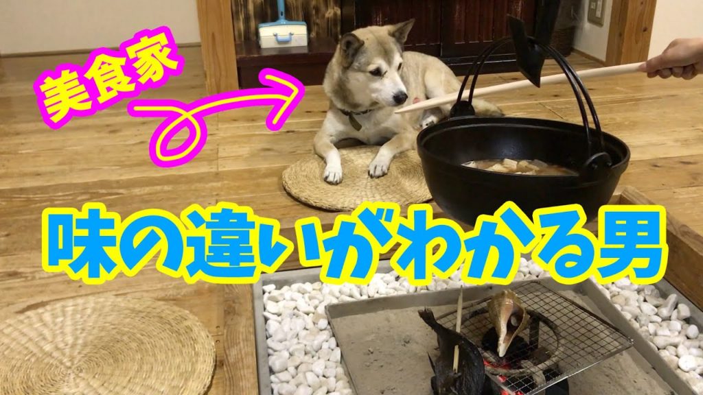 【わんこと炉端焼き🐟】釣った魚をお宿で捌いて食べてもらったら 味の違いが分かるトンデモない美食家であることが判明した元野良犬で雑種犬のむぎ🐕2019年12月Gourmet dog