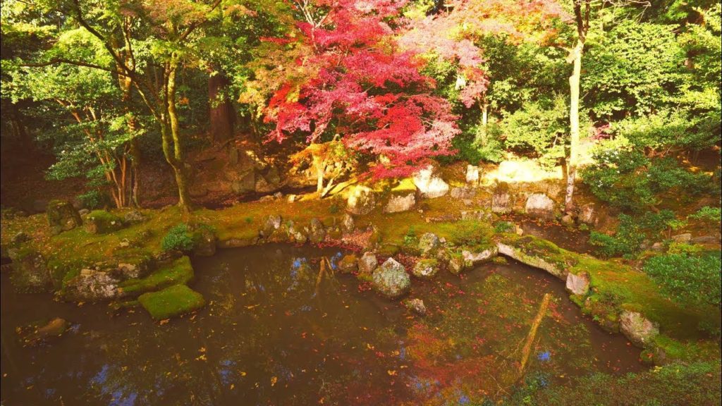 JG☆☆☆ 4K HDR 滋賀 多賀大社 奥書院庭園の紅葉(名勝) Shiga Tagataisha Garden in Autumn(Scenic Beauty)