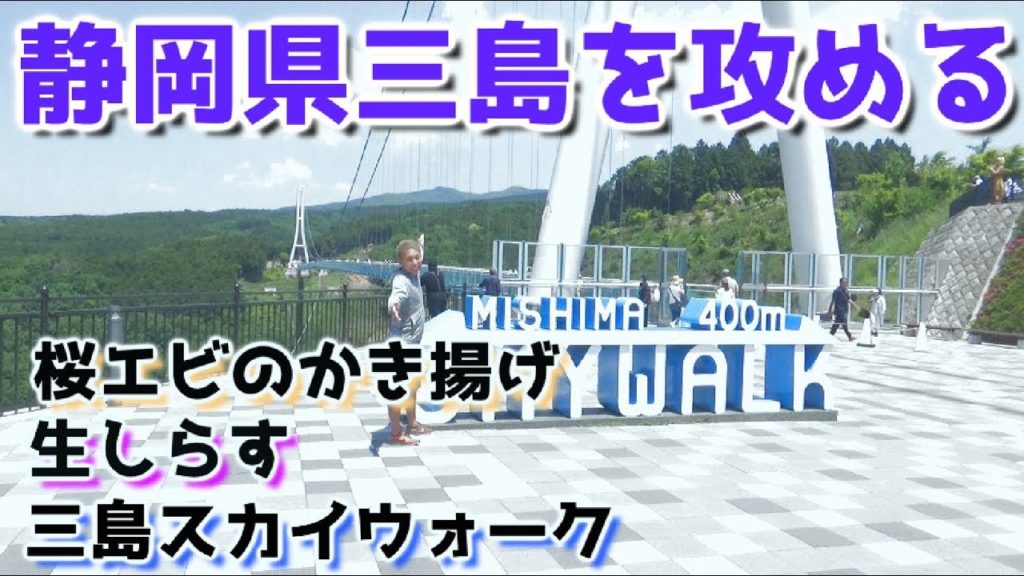 【静岡県 三島】スカイウォークと三島名物を味わう旅