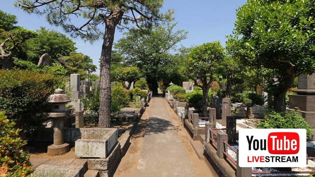 [Live Stream] Walking around Joshinji temple cemetery - Test