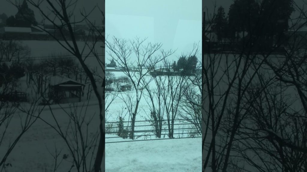 View from Train | Beautiful Winter Snow in Japan