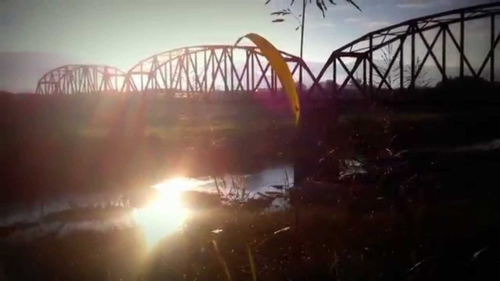 Izunokuni (伊豆の国市) Morning Run