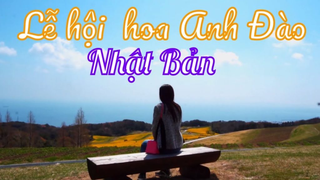 Lễ hội hoa Anh Đào Nhật Bản 2019| Cherry Blossom 2019| Cinematic