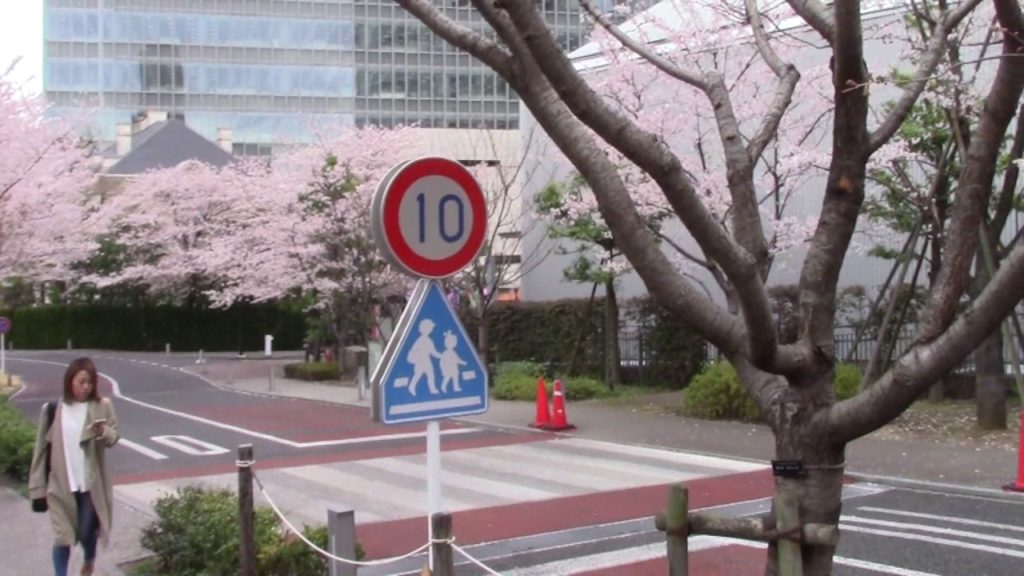Tokyo, Japan - Akasaka Cherry Blossoms, April 7, 2017 / 平成29年4月7日の東京都港区赤坂の桜