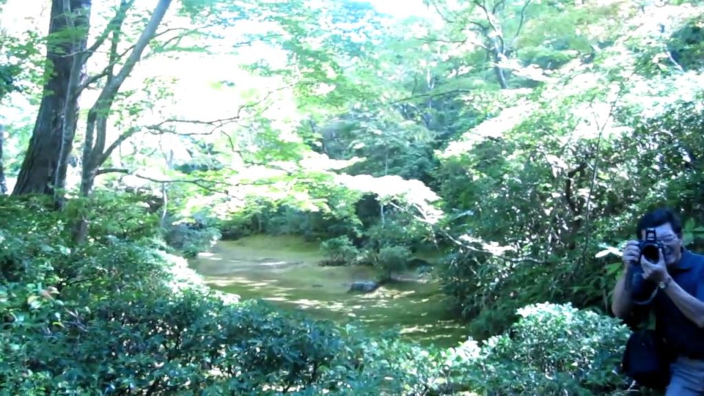 Okochi Sanso Garden part 2