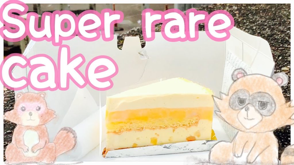 [Recommended Kyoto Travel guide】cake -food in Kyoto japan/Lunch gourmet
