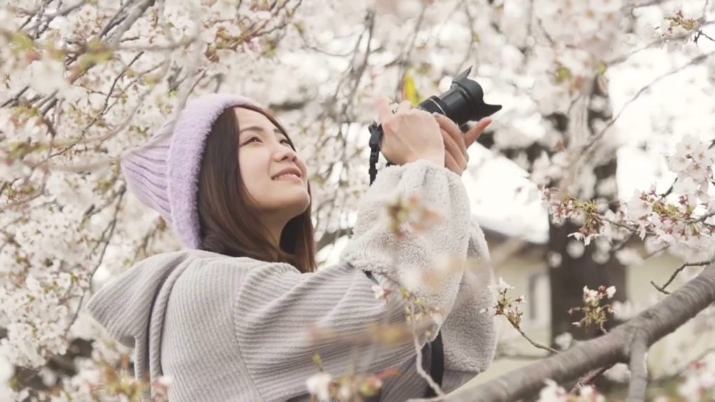 Sakura Message for The World Fighting the Corona Virus \ Japan Halal TV