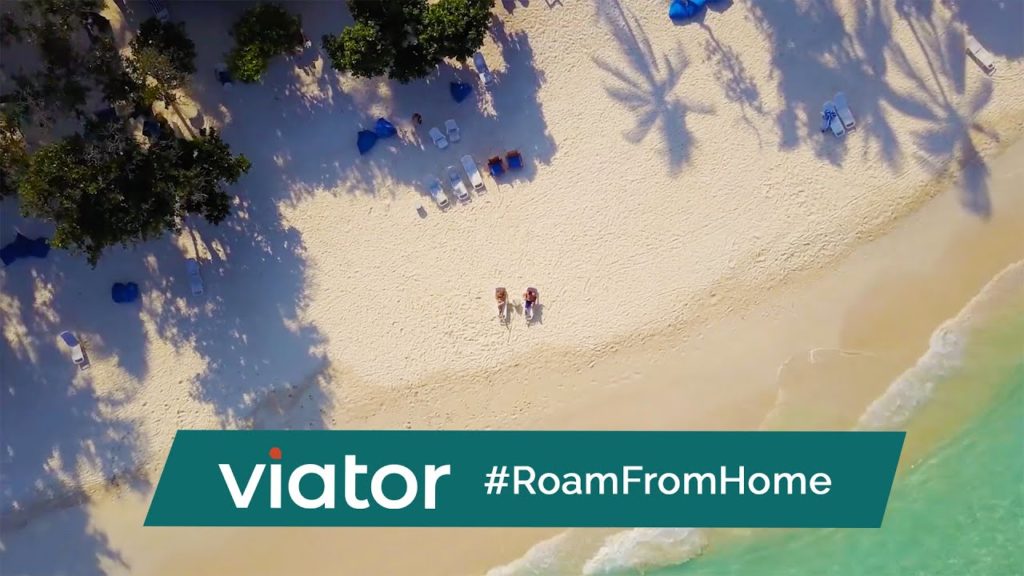 Stay Put. And Travel Virtually with Viator. #RoamFromHome Stay Put. And Travel Virtually with Viator. #RoamFromHome