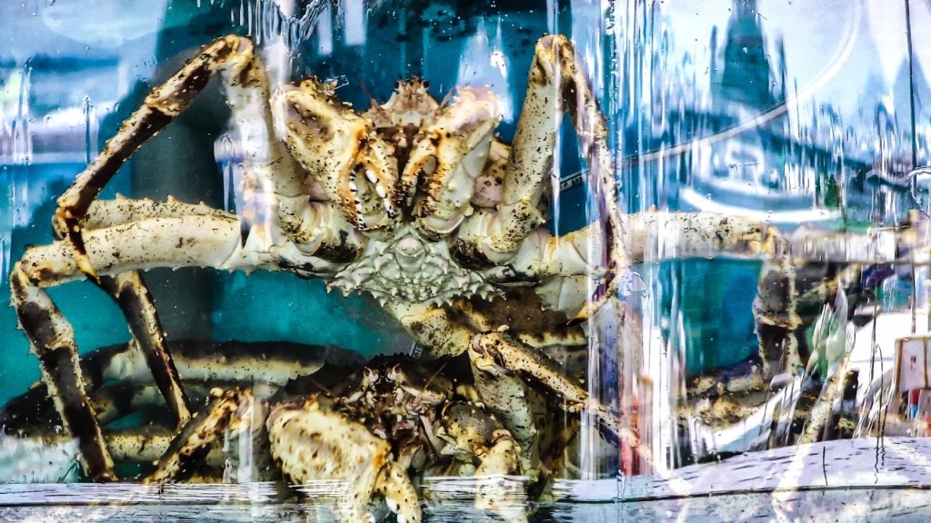Giant Crab, Lobsters, Big Shrimps. The Fish Market and Restaurants of Sai Kung, Hong Kong