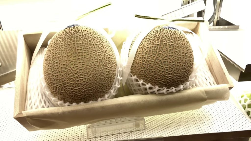 Expensive Japanese Melon