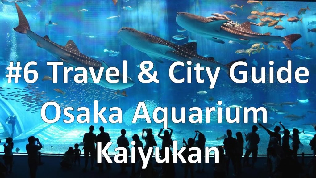 Episode 6 – Osaka Aquarium Kaiyukan (Travel & City Guide) Episode 6 - Osaka Aquarium Kaiyukan (Travel & City Guide)