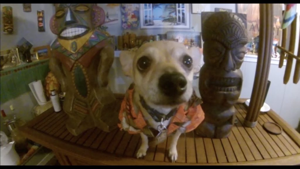 World's Greatest Pina Colada and Tokyo Street Market