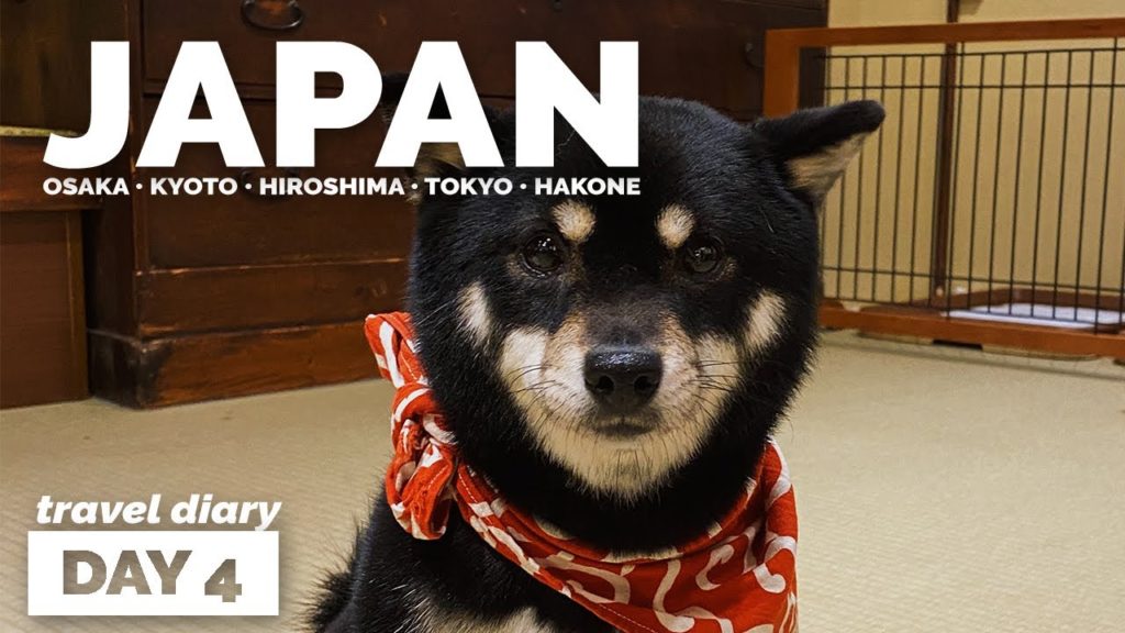 TRYING PUFFER FISH SUSHI | JAPAN TRAVEL DIARY DAY 4