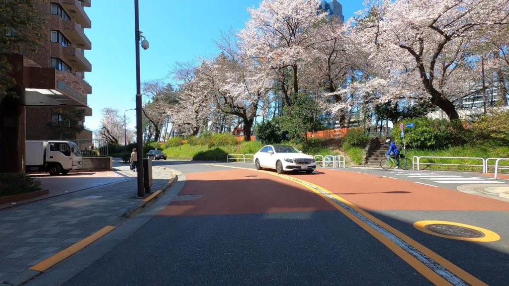 4K DRIVE JAPAN – TOKYO CHERRY BLOSSOM VIEWING – Slow TV 4K DRIVE JAPAN - TOKYO CHERRY BLOSSOM VIEWING - Slow TV