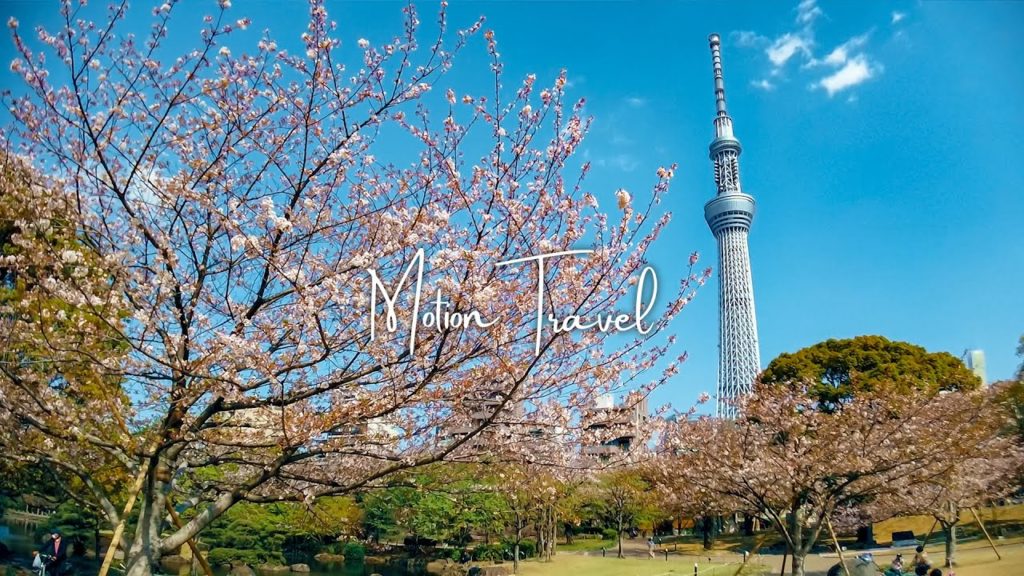 🇯🇵🌸Walking Tokyo | Sumida Park and Sumida River