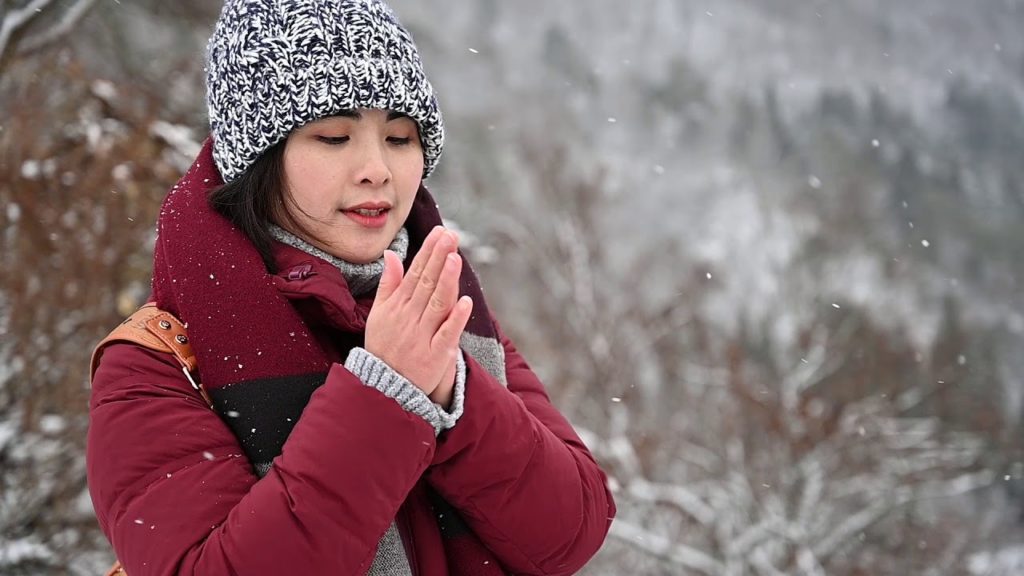 SHIRAKAWA-GO JAPAN SHOT BY NIKON Z6