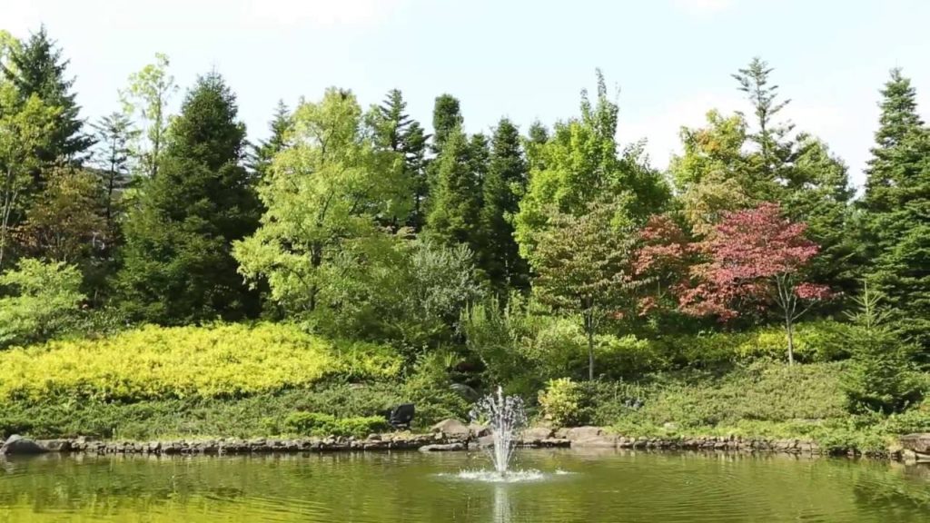 Sendai　Royal　Park　Hotel　#ナチュラルガーデンウェディング