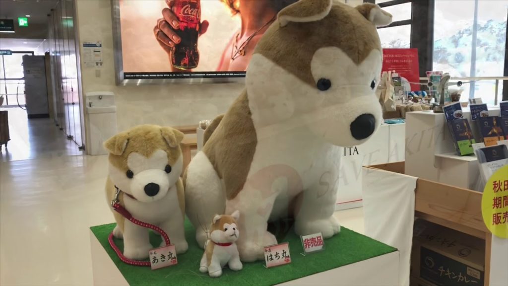 Snow and Dog Akita-Inu @Airport 【秋田空港】雪と秋田犬の空港 2020 まだ雪が残る2月上旬の様子～ Japan Travel Akita Feb2020