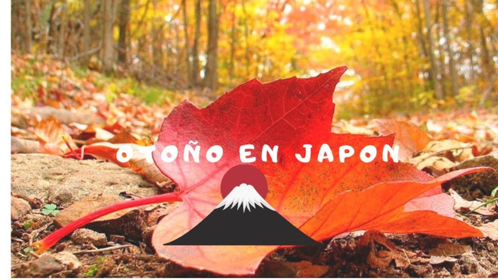 OTOÑO EN JAPON  🇯🇵🍂🍁 HD -[ 秋 ] - Autum Winter