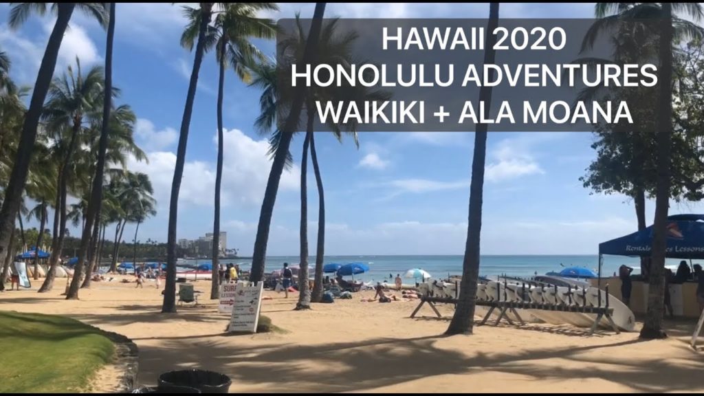 Hawaii 2020 | Honolulu Adventures | Waikiki + Ala Moana | Travel Vlog Hawaii 2020 | Honolulu Adventures | Waikiki + Ala Moana | Travel Vlog